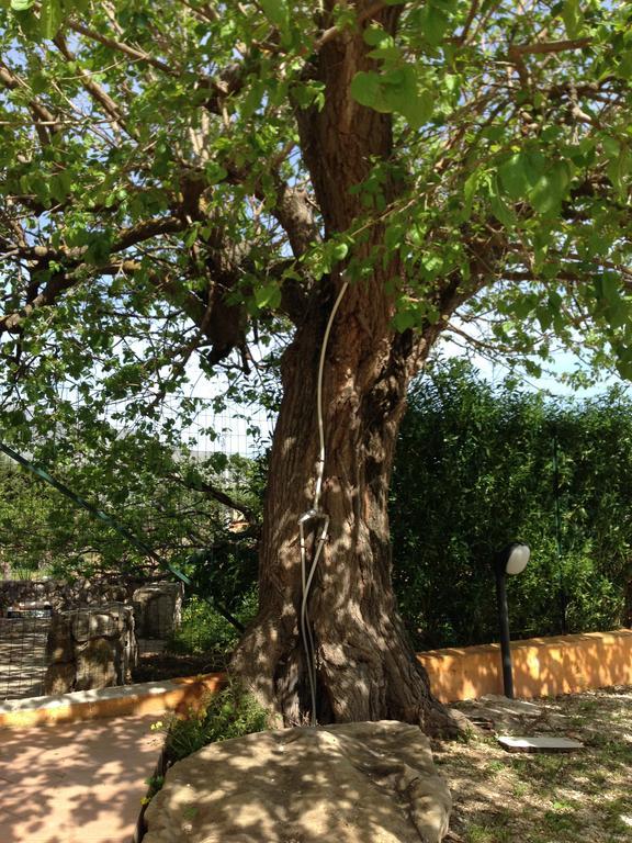 Lovely Cottage Castellammare del Golfo Exterior foto