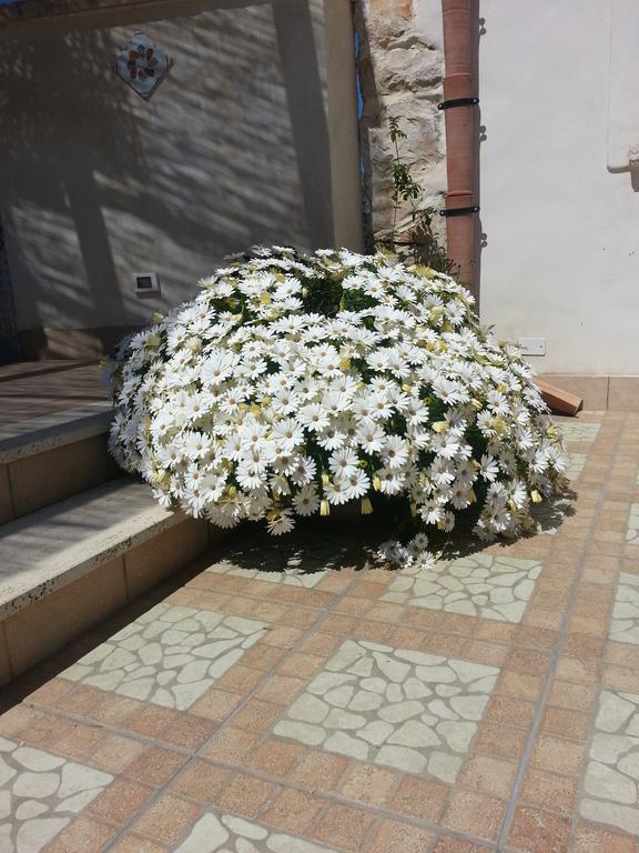 Lovely Cottage Castellammare del Golfo Exterior foto
